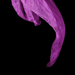 Vertikaltuch / Aerial Silk