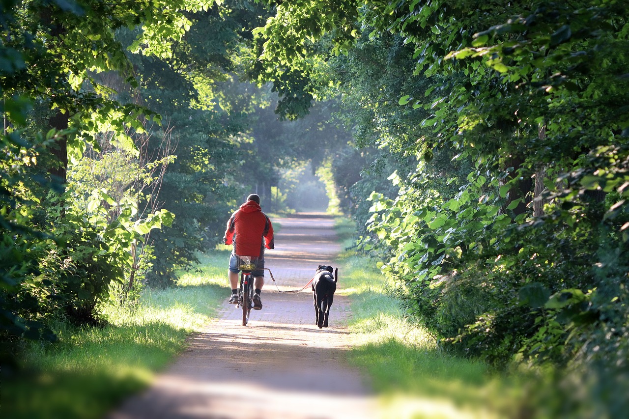 Bikejöring