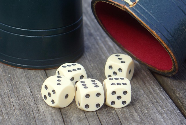 Bingo, Bingolotto
