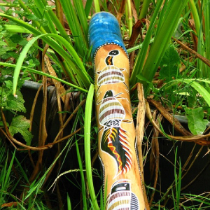 Blasrohr-Sport, Blasrohrschießen, Blowgun
