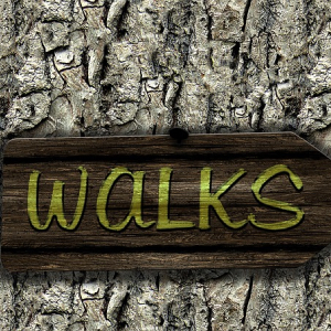 BreathWalk®