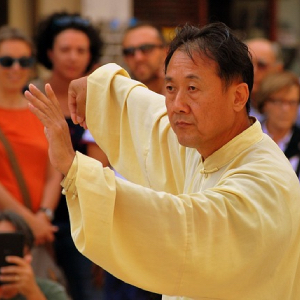 Bujinkan (武神館)