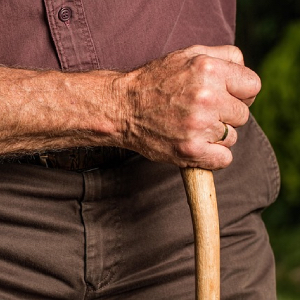 Cane Fu