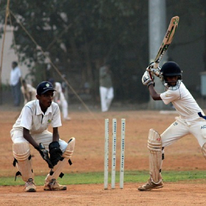 Cricket