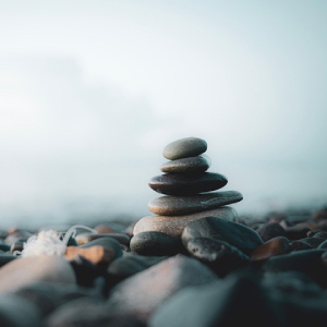 Embodiment-Training