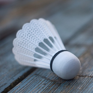 Federball