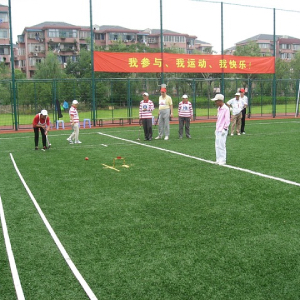 Gateball