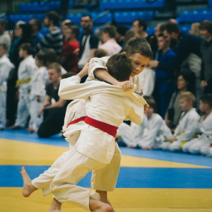 Goshin Jitsu (護身術)