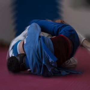 Hapkido (합기도)