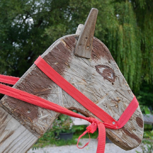 Hobby Horsing, Steckenpferd-Reiten