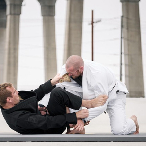Jiu-Jitsu (柔術), Jiu-Jutsu
