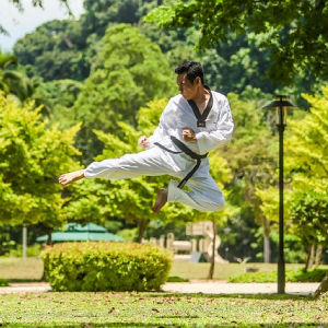 Kung Fu (功夫), Gung Fu