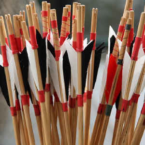 Kyūdō (弓道), Kyudo