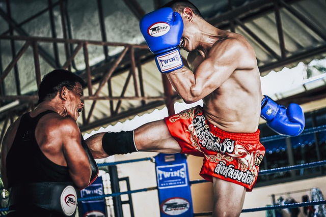 Muay Thai (มวยไทย), Thaiboxen