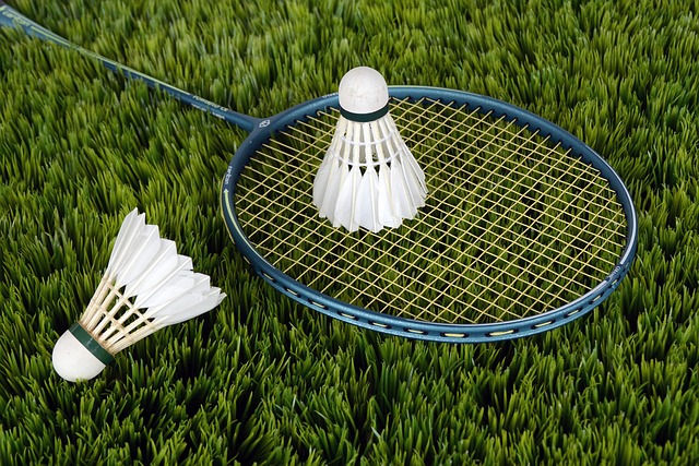 Para-Badminton, Rollstuhl-Badminton