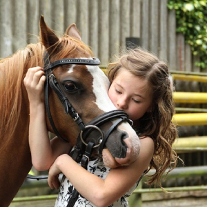 Ponyreiten