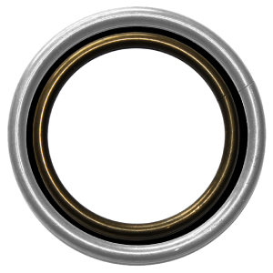 Ringreiten