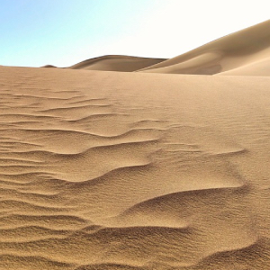 Sandboarding