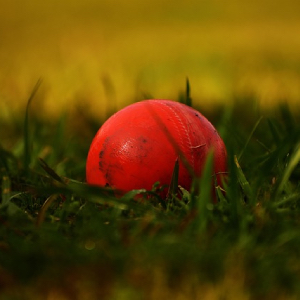 Schleuderball