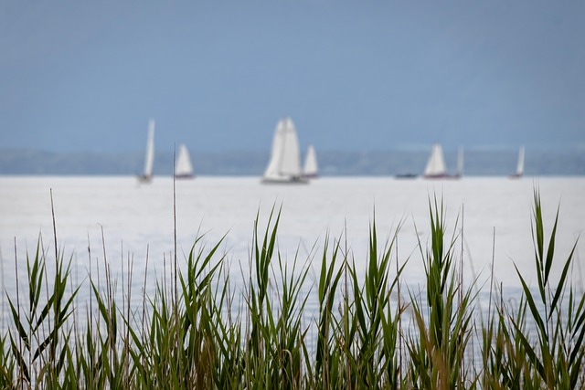 Seesport