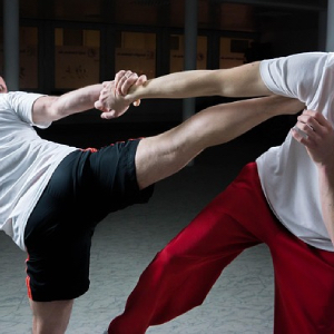 Shaolin Kempo (Shorinji Kempo, 少林寺拳法, Shōrin-ji Kenpō)