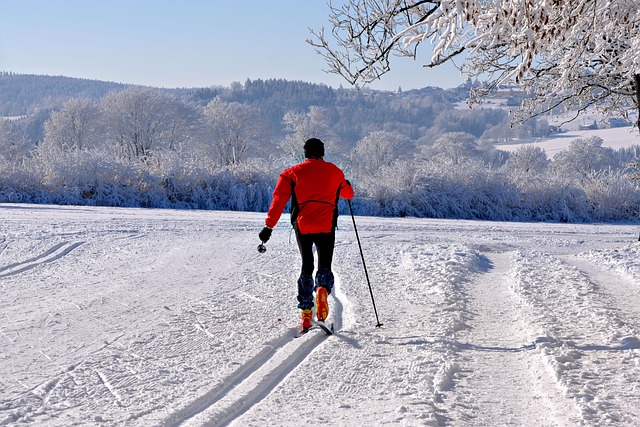 Skilanglauf