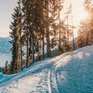 Skibob, Snowbiking