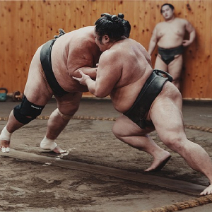 Sumo