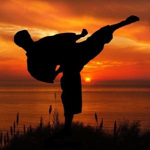 Tai Jutsu Do