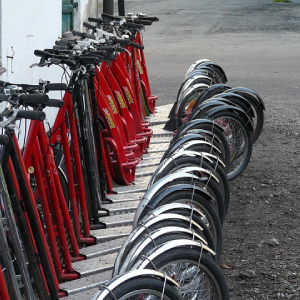 Tretrollersport, Kickboard-Sport, Scooter-Sport