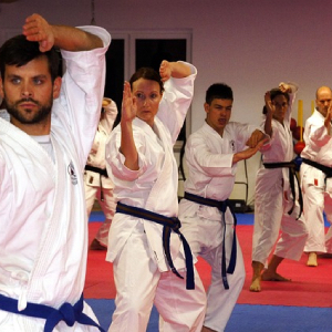  Vovinam Việt Võ Đạo (越武道)