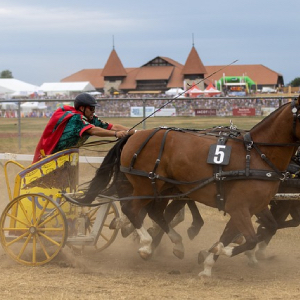 Wagenrennen