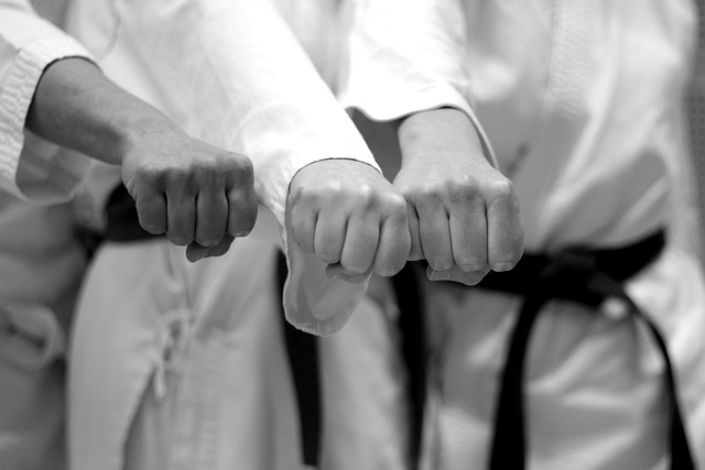 Wushu (武术)